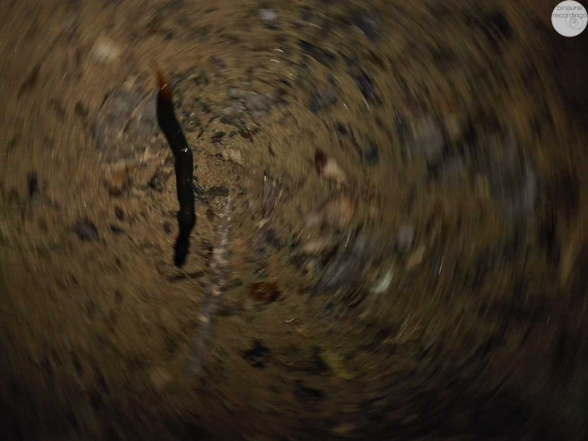 Binaural Recordings