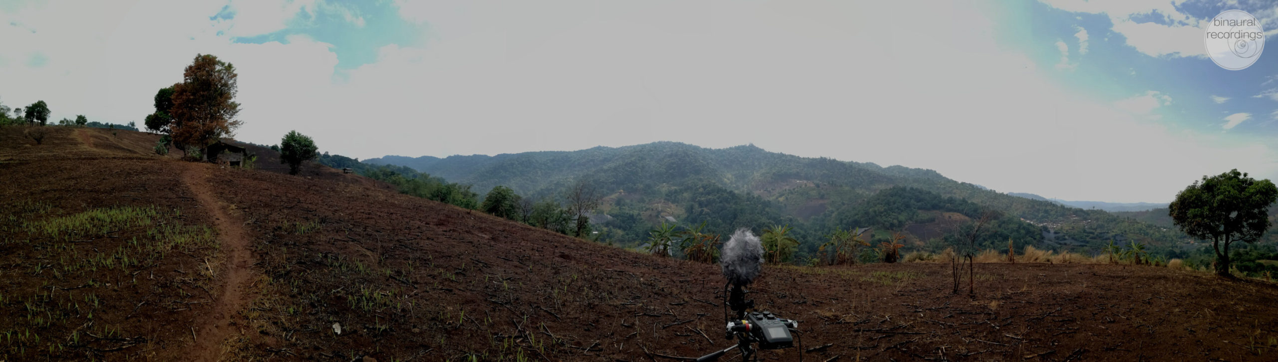 Binaural Recordings