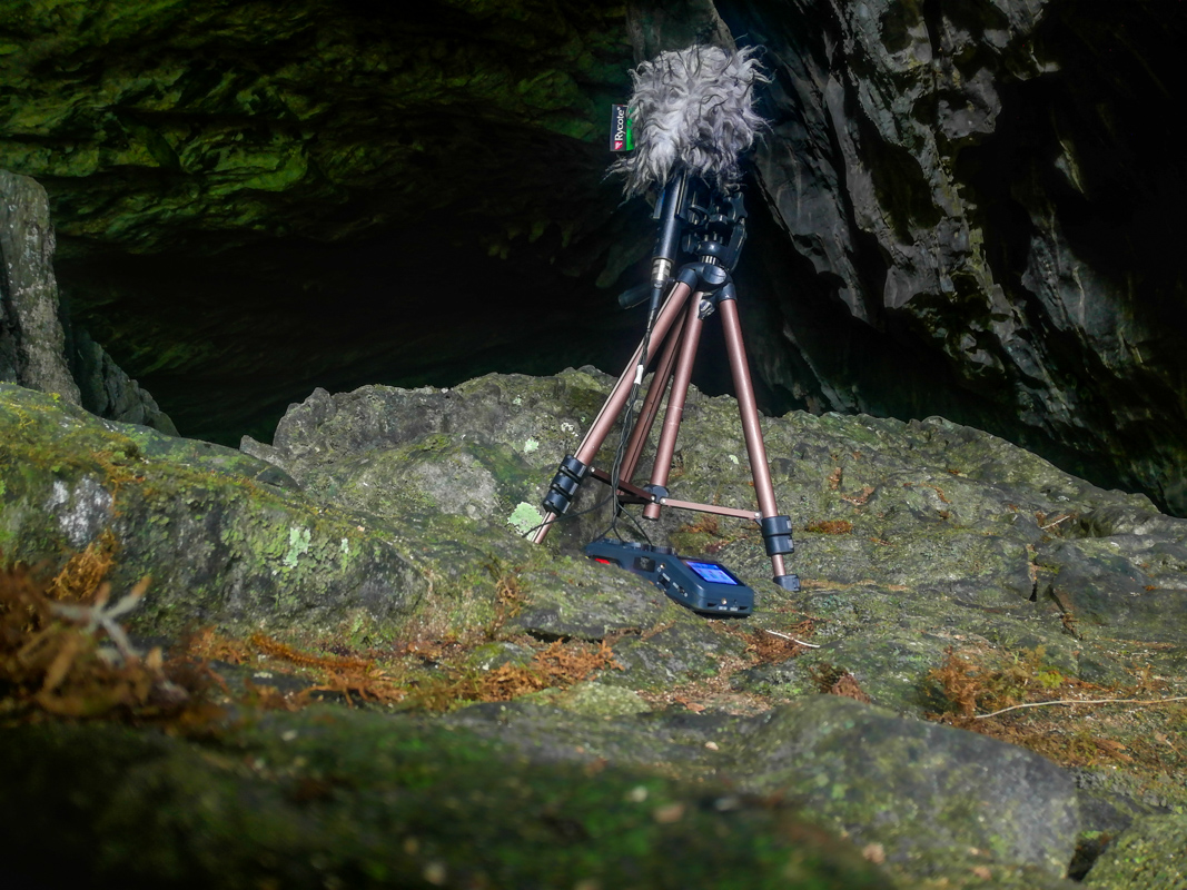 Binaural Recordings