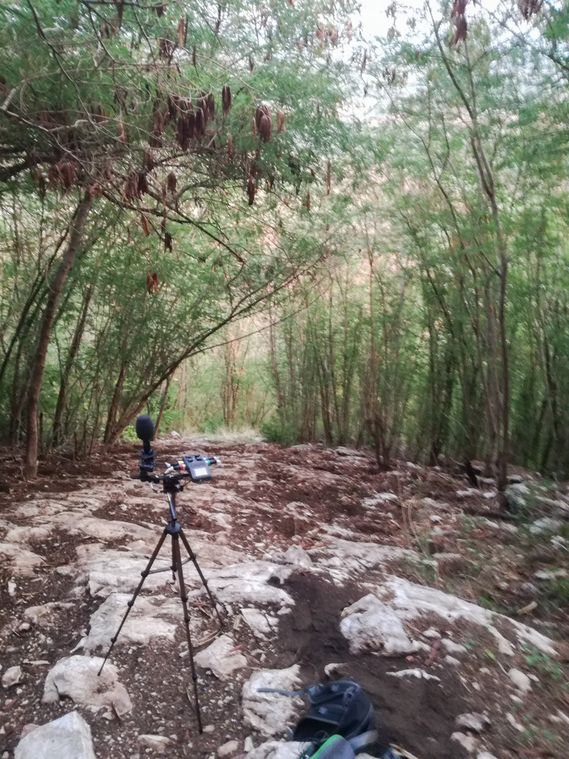 Binaural Recordings