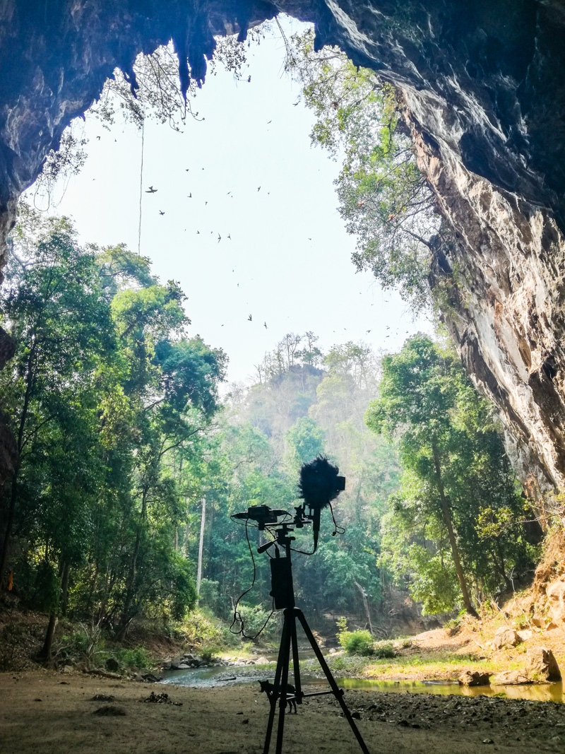 Binaural Recordings